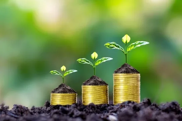 Wealth and Investment Planning